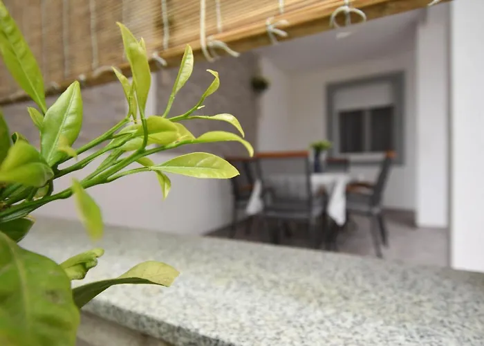 Apartament Rota *